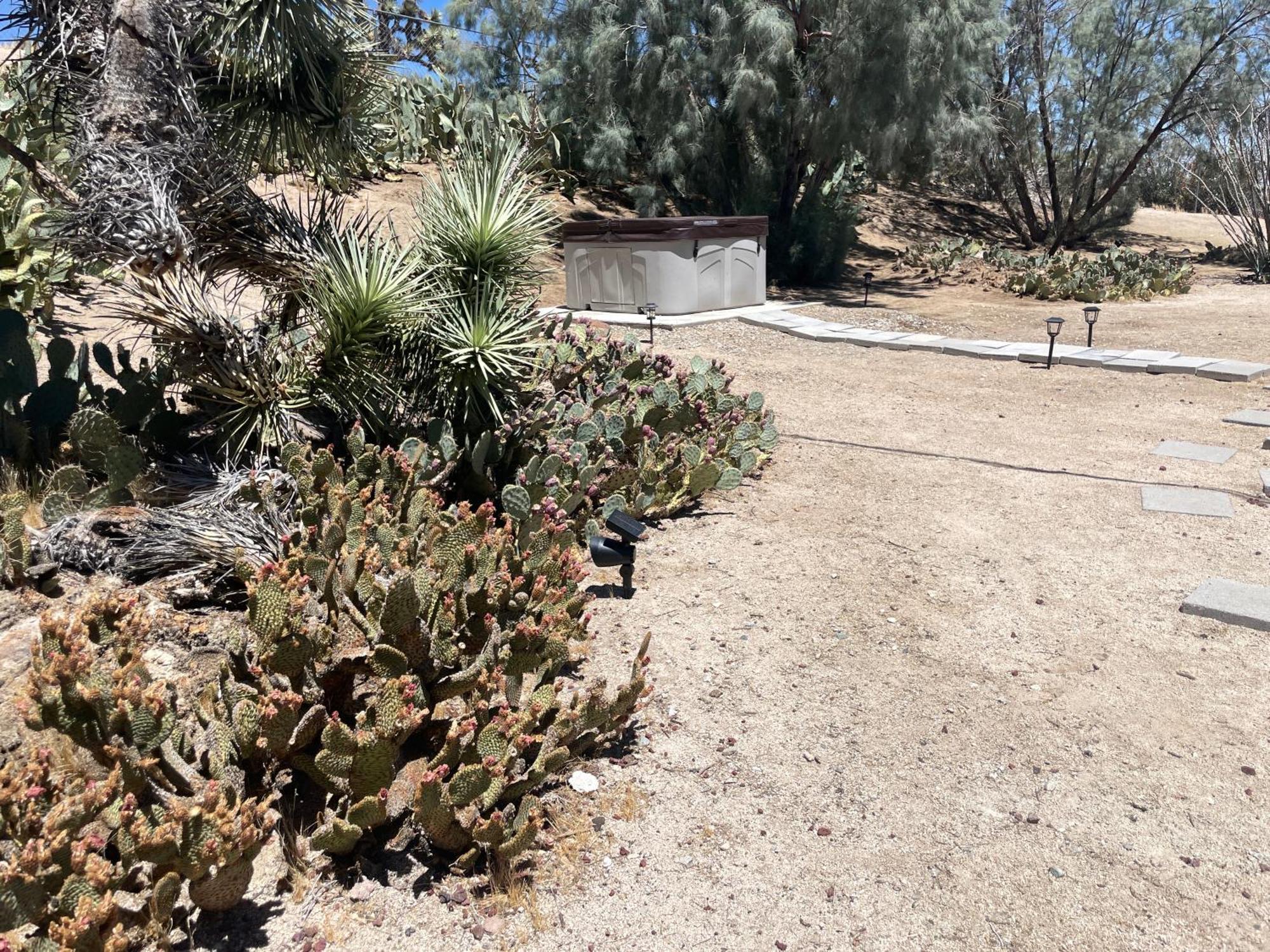 Mojave Desert Pied-A-Terre Yucca Valley Εξωτερικό φωτογραφία
